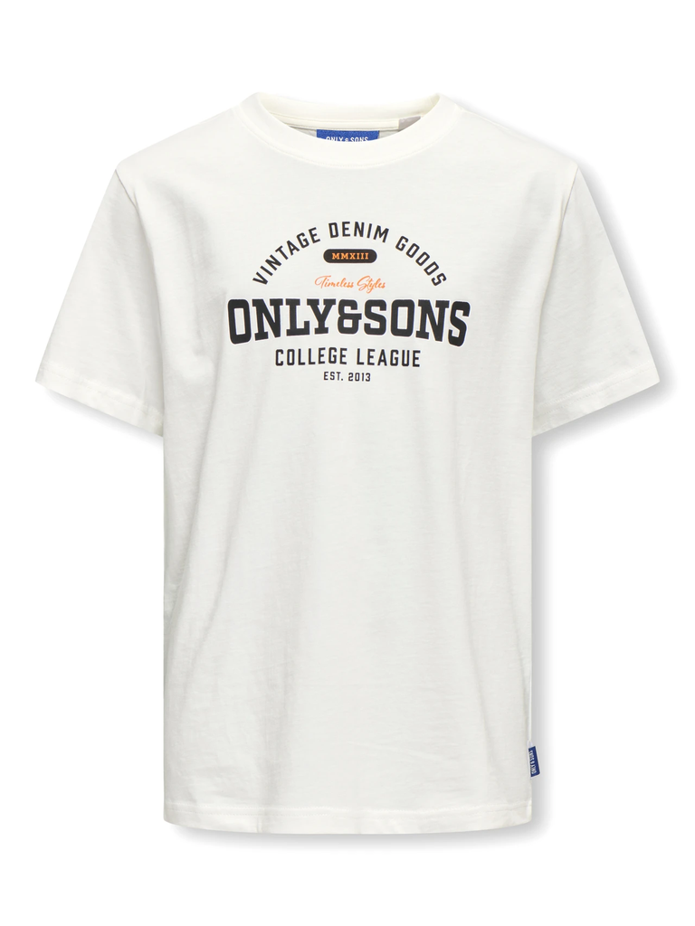 Camiseta Osjlenny Life Reg Vintage Tee Jrs Noos  - Only &amp; Sons