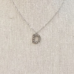 Collar Inicial Plateada Brillo Letra "D"