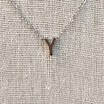 Collar Inicial Plateada Gruesa Letra "Y"