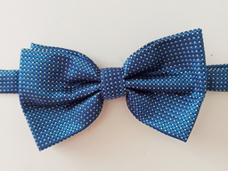 [PJ035] Pajarita Geometric- Azul y Blanco