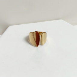 Anillo Doble Ancho Dorado