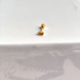 Pendiente Circonita Óvalo Dorado (Rosca)